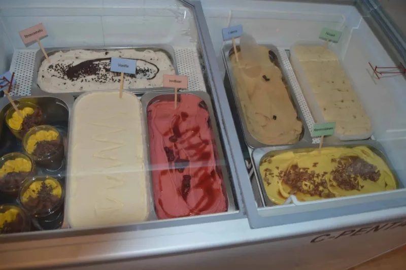 Isbar til udlejning ved fest i Sønderjylland